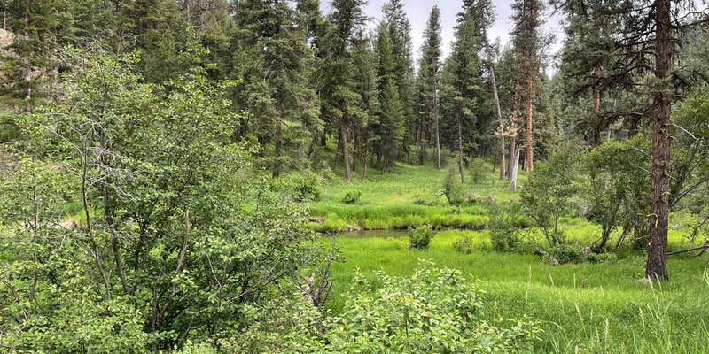 Camper submitted image from Ukiah-Dale Forest State Park and Campground