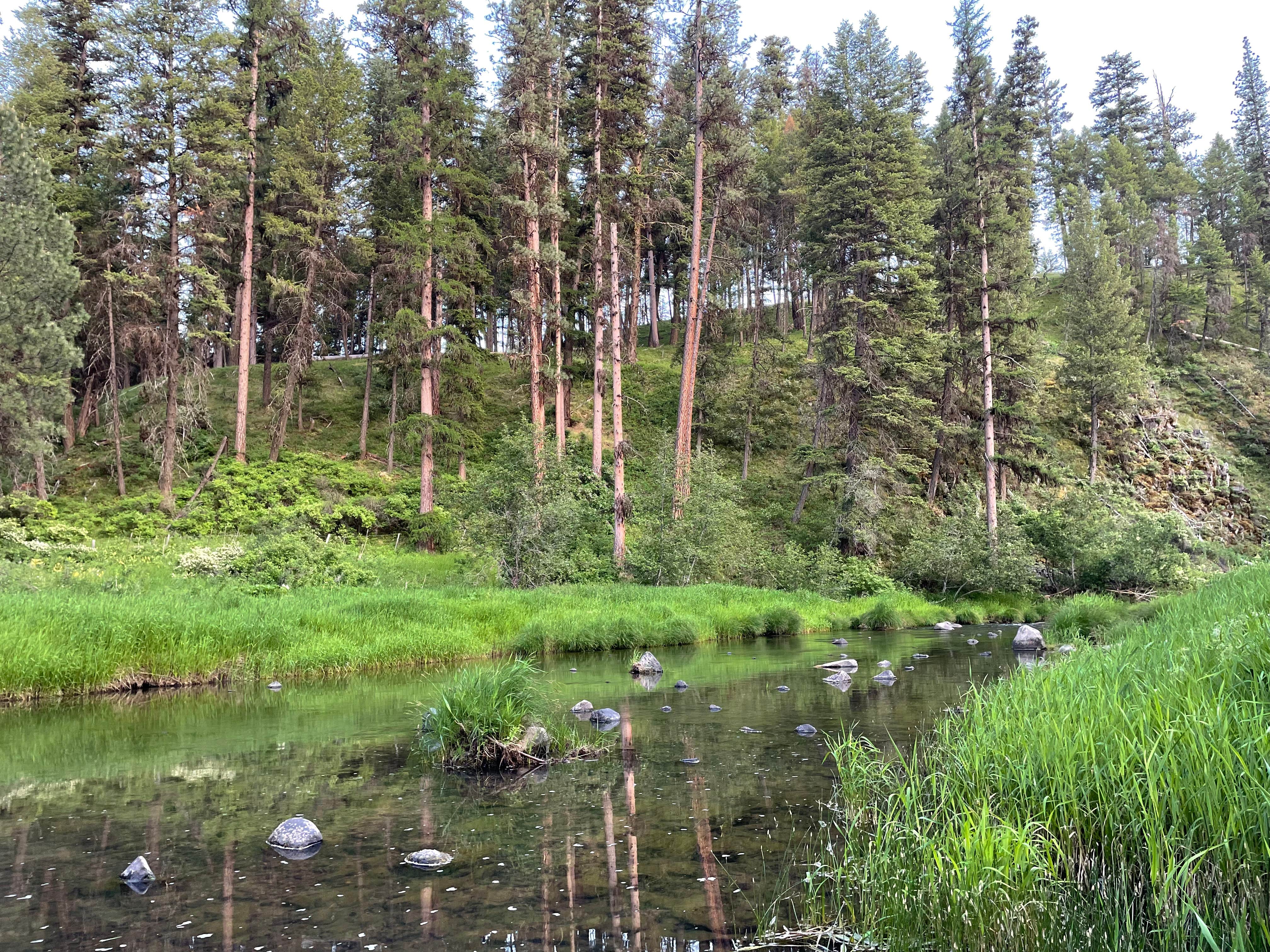 Camper-submitted photo at Ukiah-Dale Forest State Park and Campground near Ukiah, OR