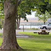 Review photo of Umatilla Marina & RV park by Suzie P., June 22, 2026