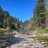 Review photo of Umpqua National Forest Steamboat Falls Campground by sophie C., April 24, 2024