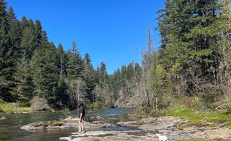 sophie C.'s photo of camping with pets at Umpqua National Forest Steamboat Falls Campground near Dorena, OR