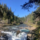 Review photo of Umpqua National Forest Steamboat Falls Campground by sophie C., April 24, 2024