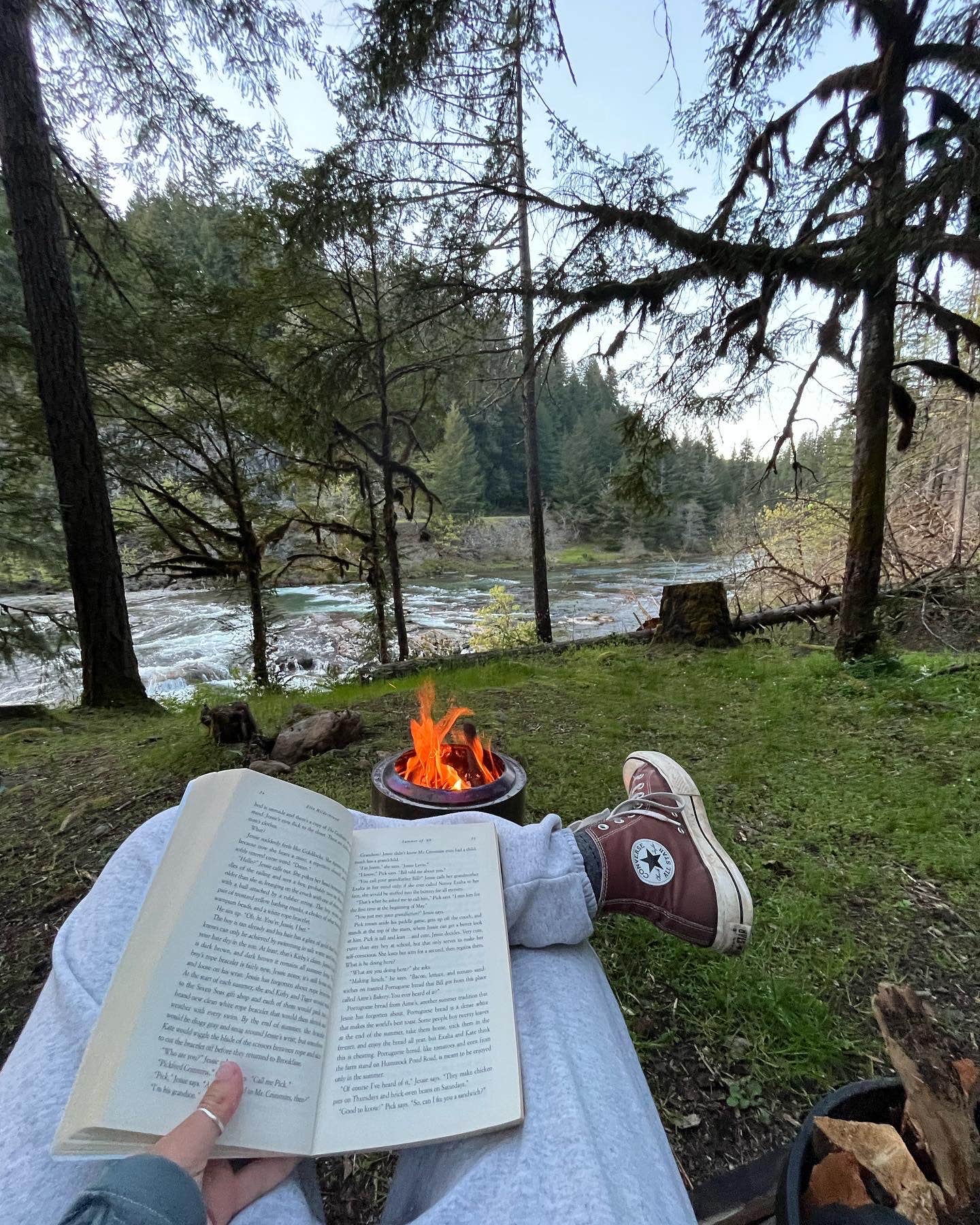 Camper submitted image from Umpqua National Forest Steamboat Falls Campground - 1