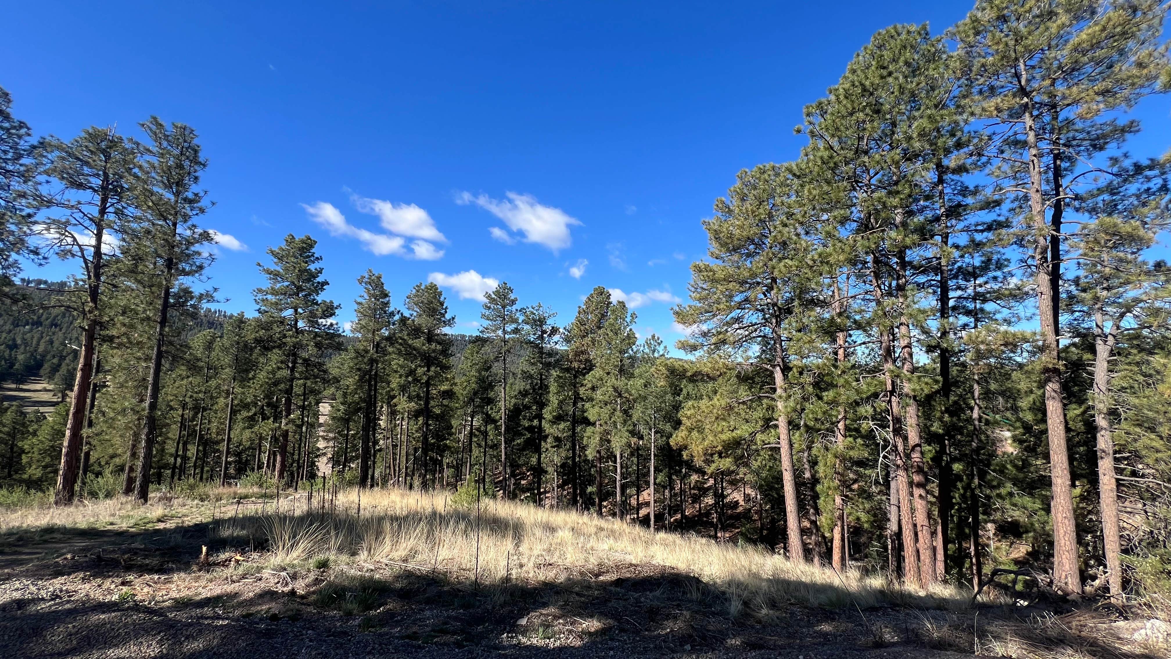 Camping near Jemez Falls Campground: No longer available, Jemez Springs, New Mexico