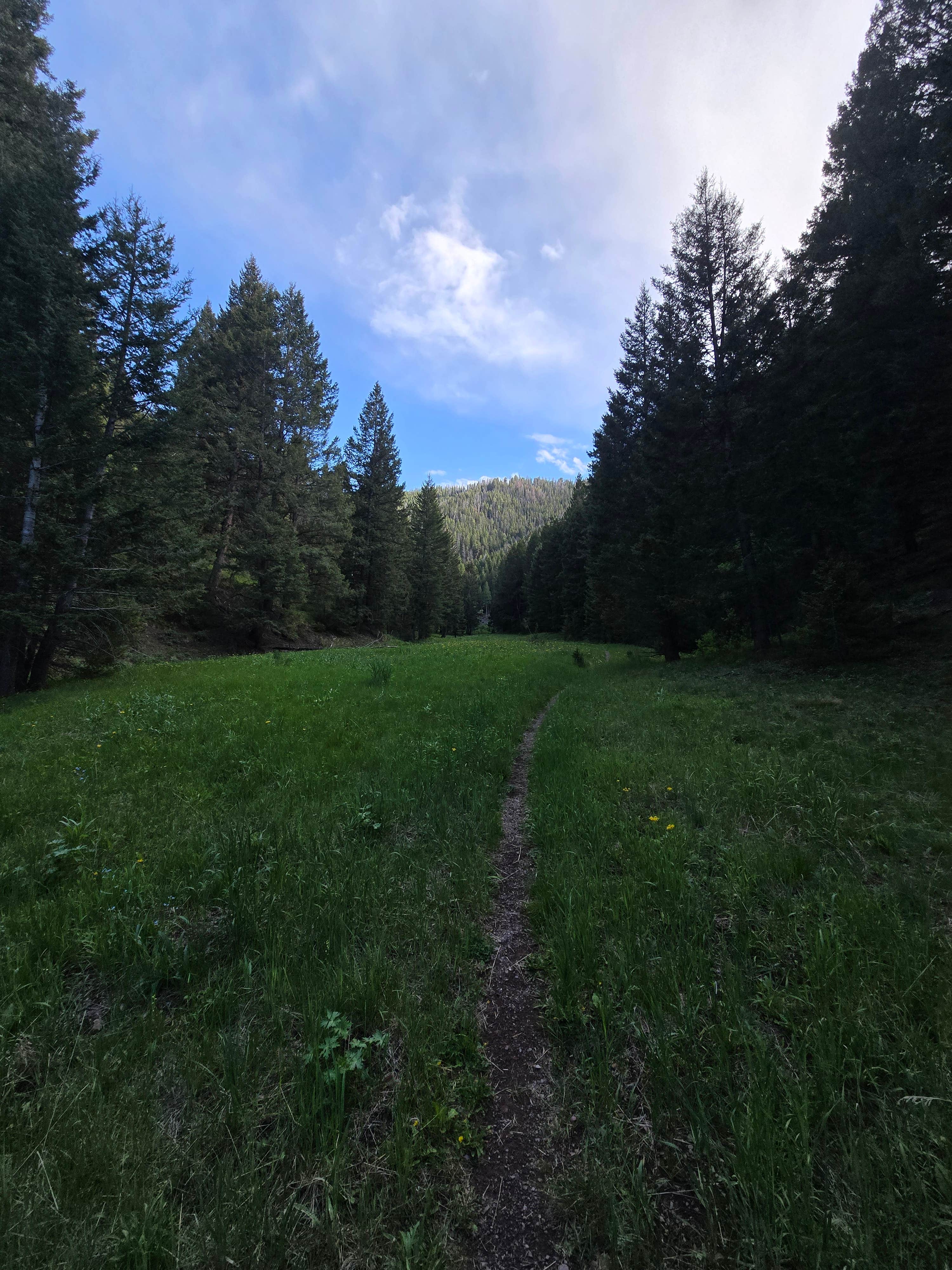 Uncle Johns Gulch on Corral Creek Road