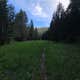 Uncle Johns Gulch on Corral Creek Road