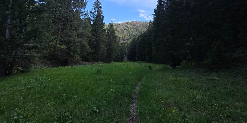 Camper submitted image from Uncle Johns Gulch on Corral Creek Road