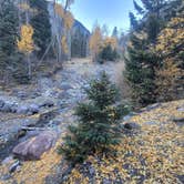 Review photo of Uncompahgre National Forest Thistledown Campground by Renee T., October 26, 2023