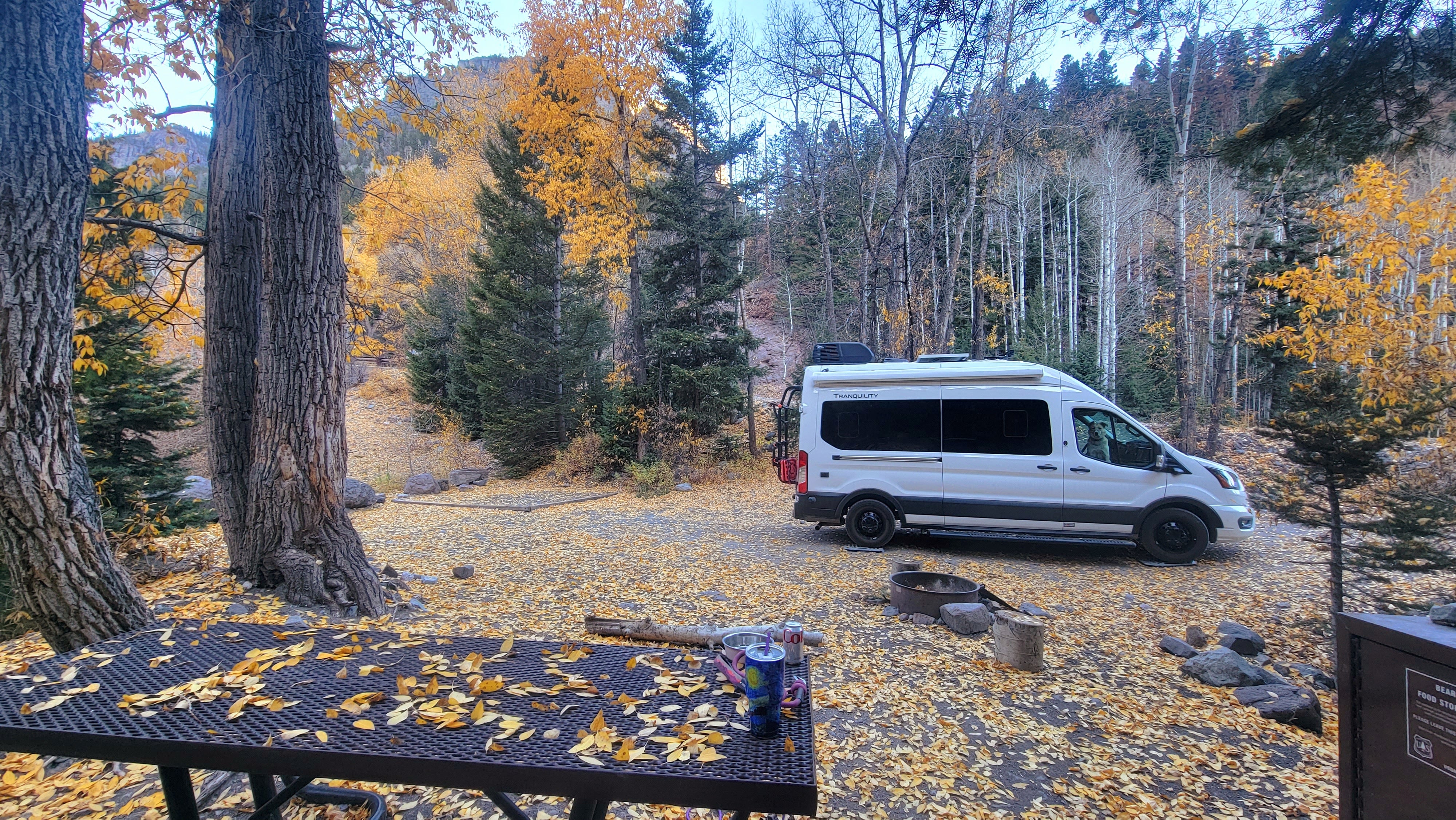 Camper submitted image from Uncompahgre National Forest Thistledown Campground - 4