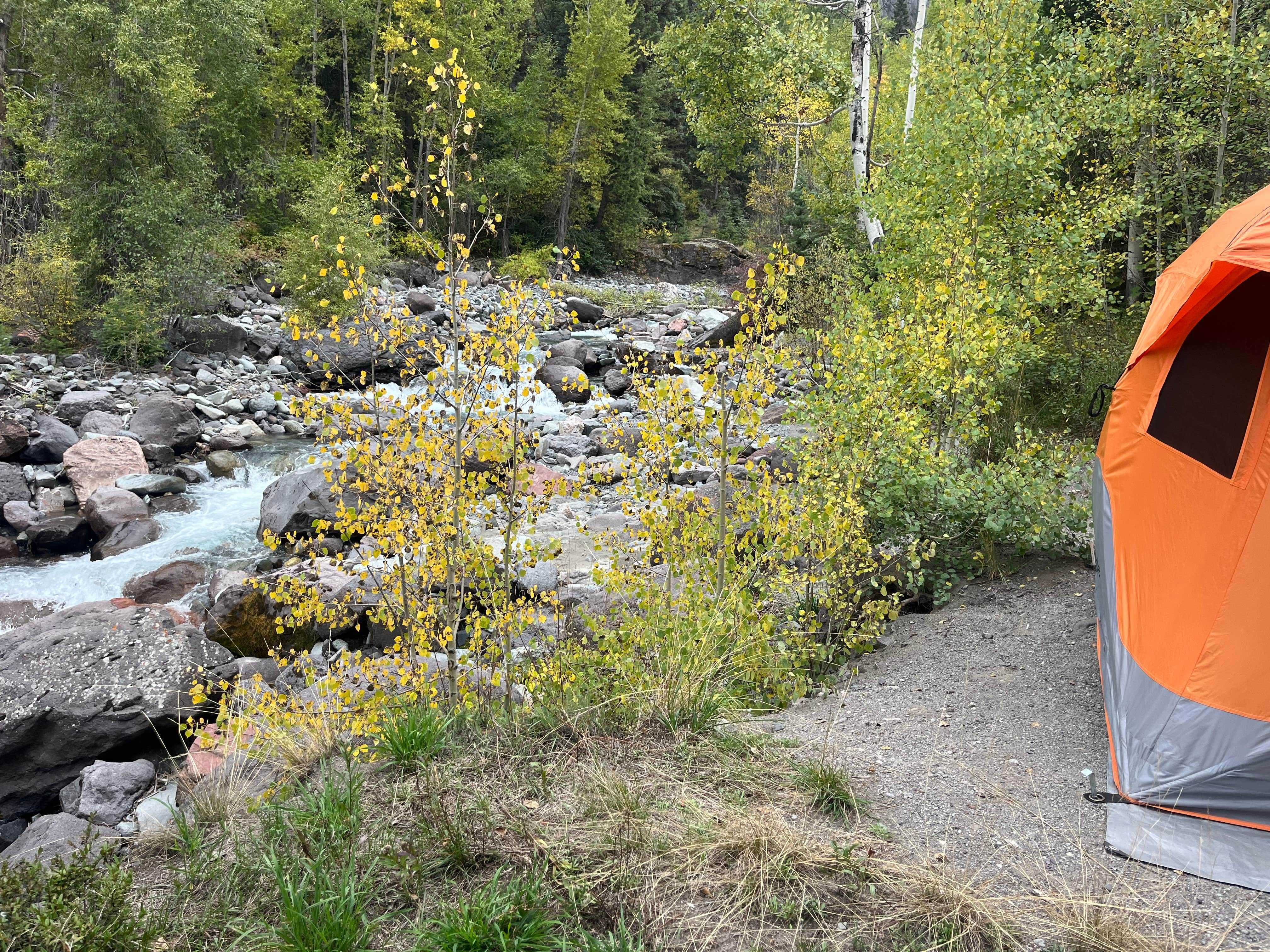 Camper-submitted photo at Uncompahgre National Forest Thistledown Campground near Ouray, CO