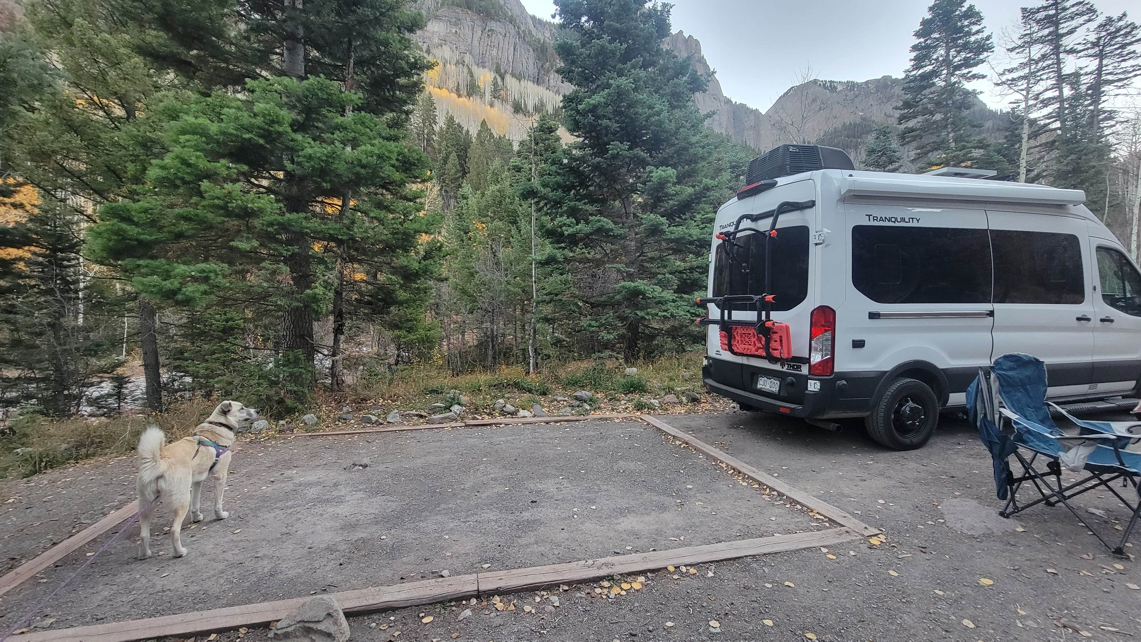 Renee T.'s photo of camping with pets at Uncompahgre National Forest Thistledown Campground near Telluride, CO