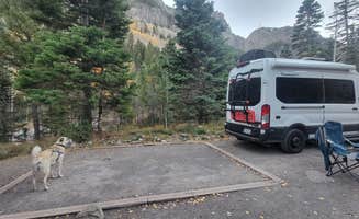 Renee T.'s photo of camping with pets at Uncompahgre National Forest Thistledown Campground in Colorado