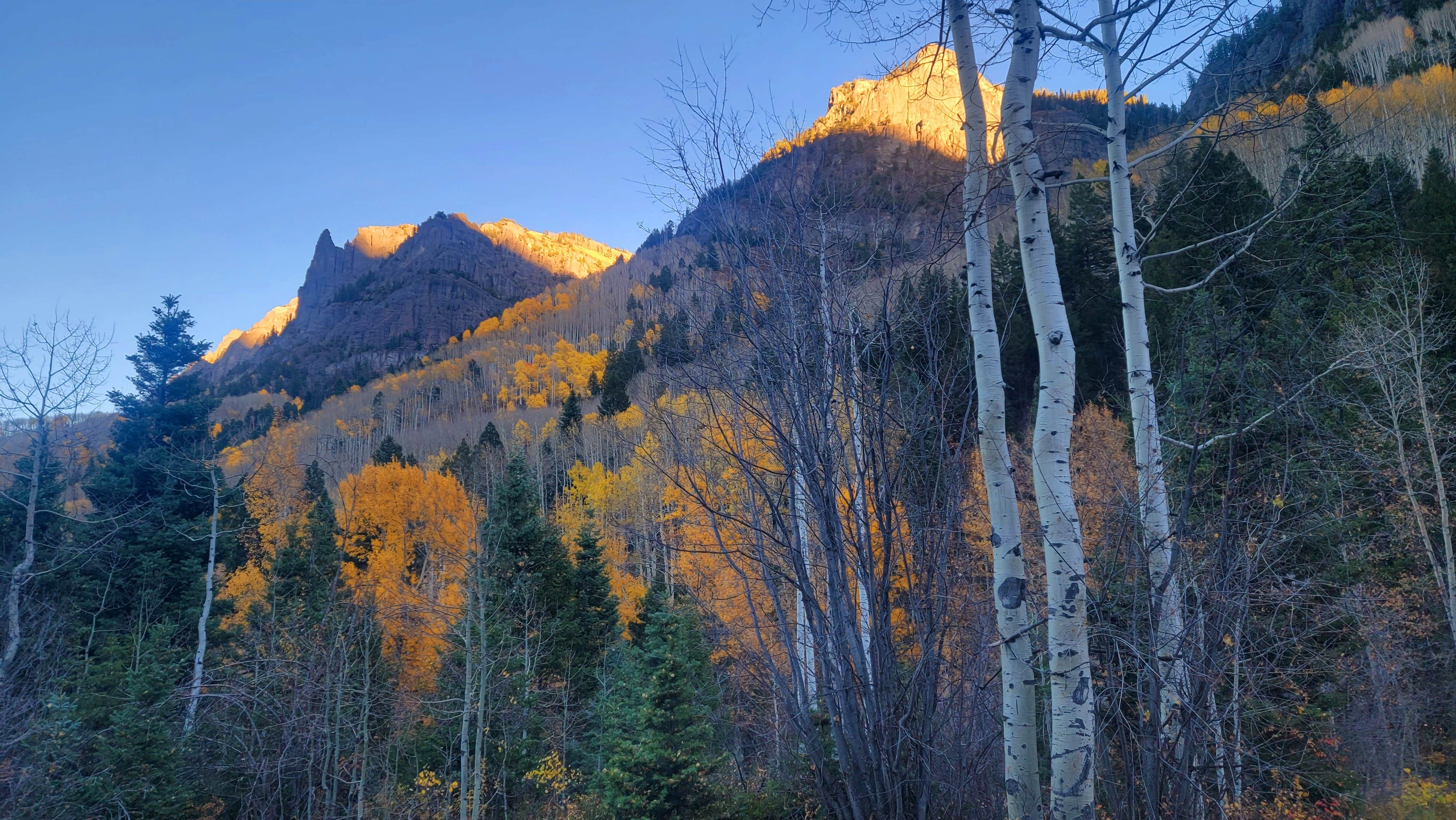 Camper-submitted photo at Uncompahgre National Forest Thistledown Campground near Ouray, CO