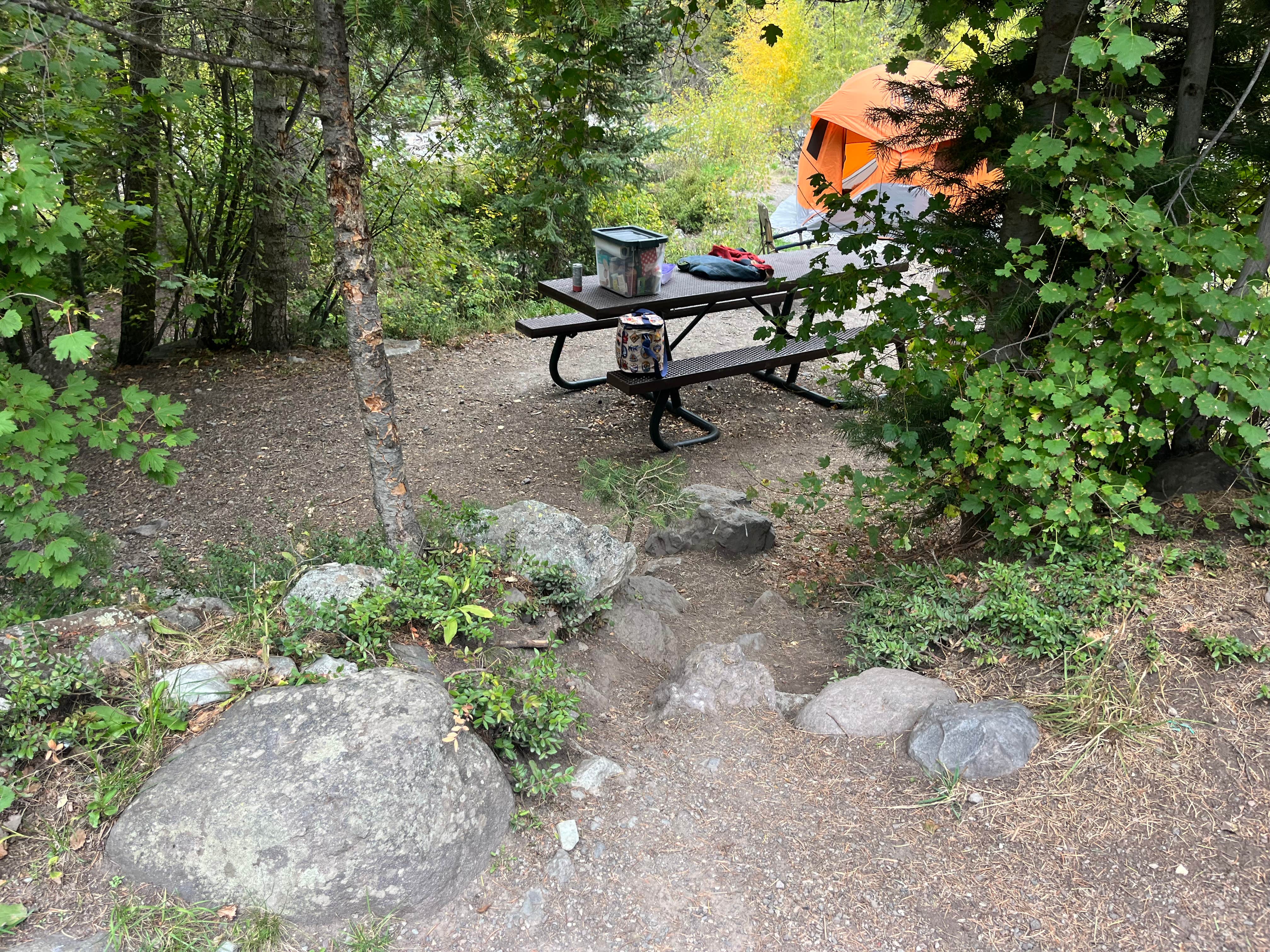 Camper-submitted photo at Uncompahgre National Forest Thistledown Campground near Ouray, CO