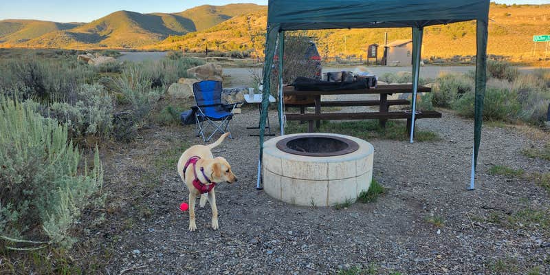 Camper submitted image from Unicorn Ridge Dispersed Campsite