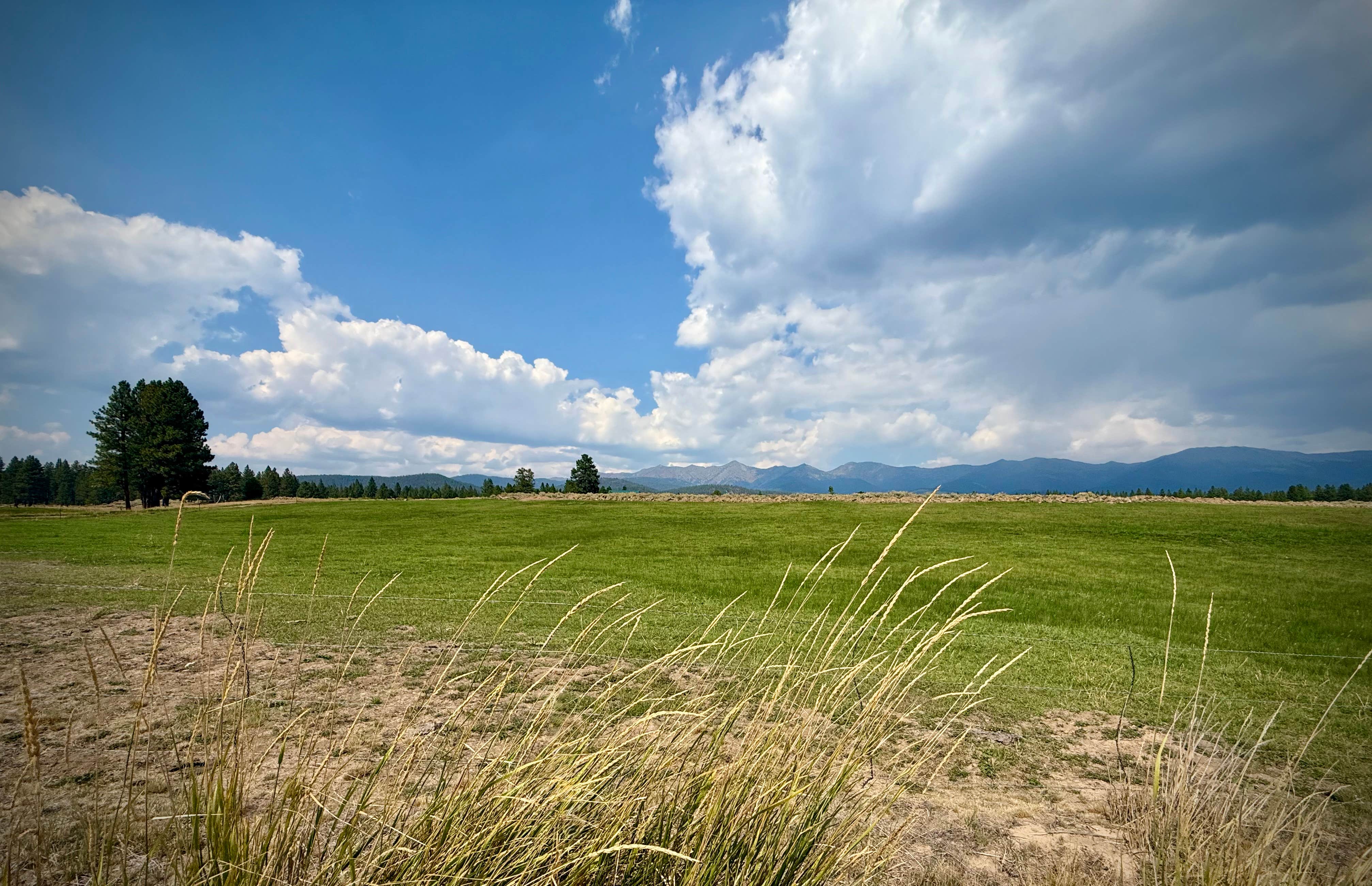 Camping near Sumpter RV Park: Union Creek Campground (Phillips Lake), Sumpter, Oregon