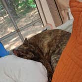 Review photo of Union Grove State Park Campground by Sue S., June 16, 2026