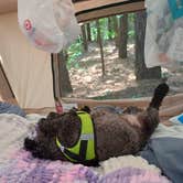 Review photo of Union Grove State Park Campground by Sue S., June 16, 2026