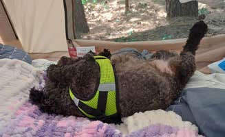 Sue S.'s photo of camping with pets at Union Grove State Park Campground near Sioux City, IA