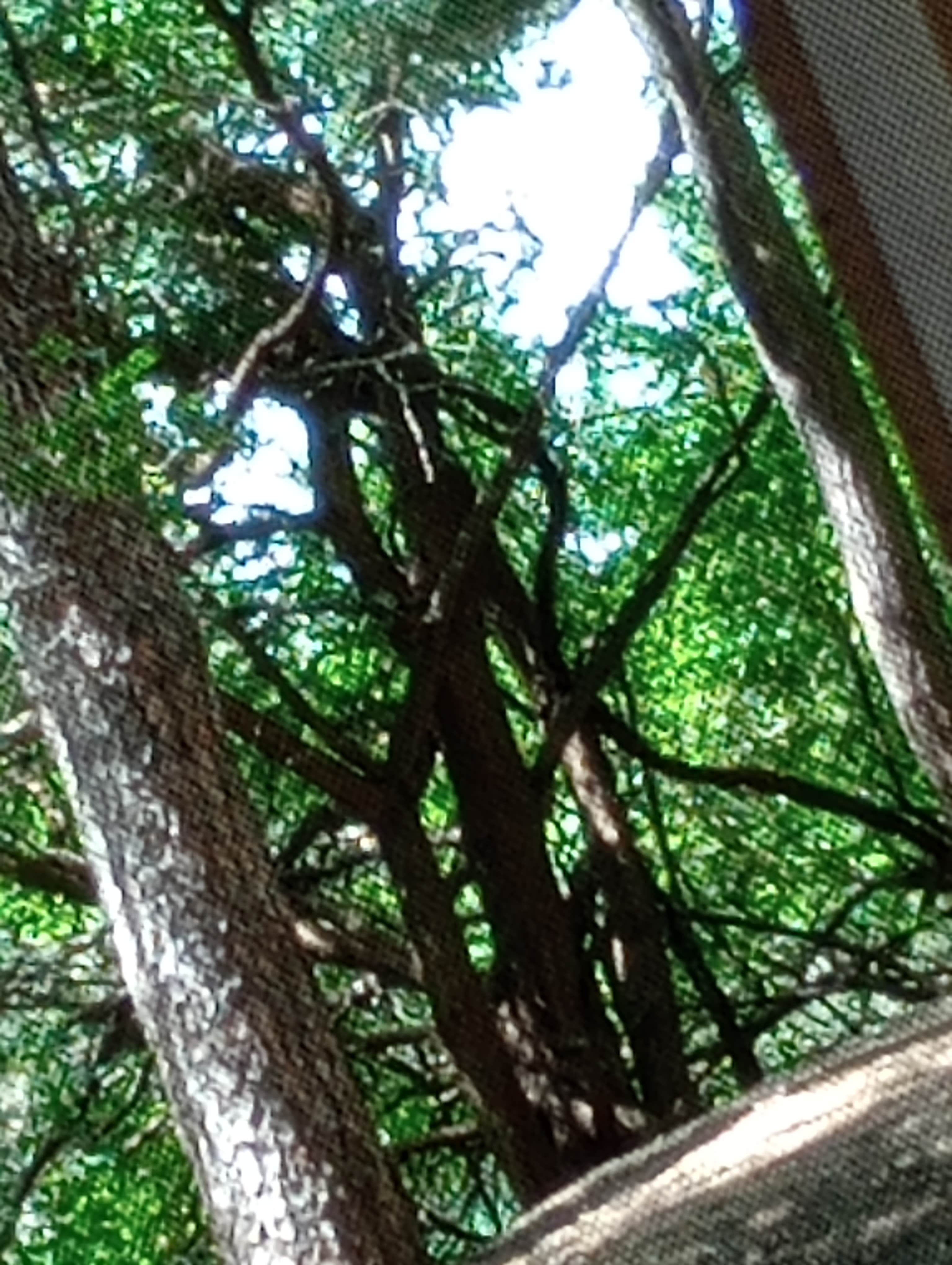 Camper-submitted photo at Union Grove State Park Campground near Hawarden, IA
