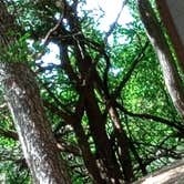 Review photo of Union Grove State Park Campground by Sue S., June 16, 2026
