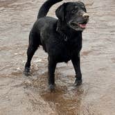 Review photo of Union River Big Bear Campground by Scott B., July 10, 2025