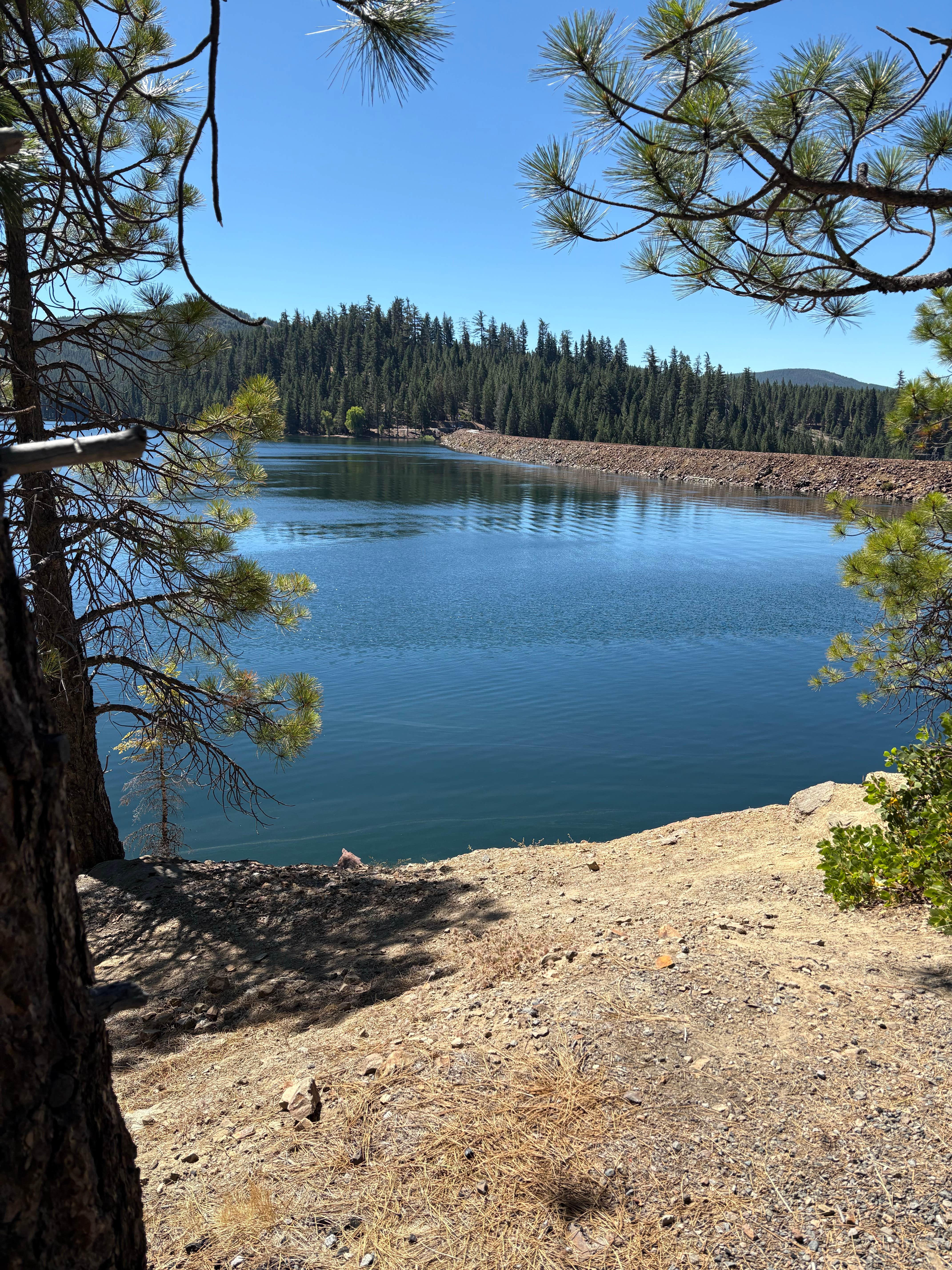 Michele Z.'s photo of a dispersed camping area at Union Valley Reservoir Dispersed Camping near Auburn, CA