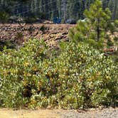 Review photo of Union Valley Reservoir Dispersed Camping by Michele Z., July 7, 2026