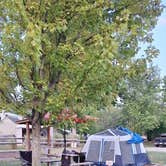 Review photo of The Blue Canoe RV Resort by Fred R., September 2, 2024