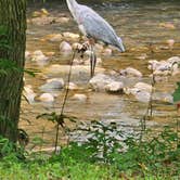 Review photo of Up the Creek RV Camp by Christopher S., January 15, 2026