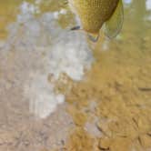 Review photo of Up the Creek RV Camp by Christopher S., January 15, 2026