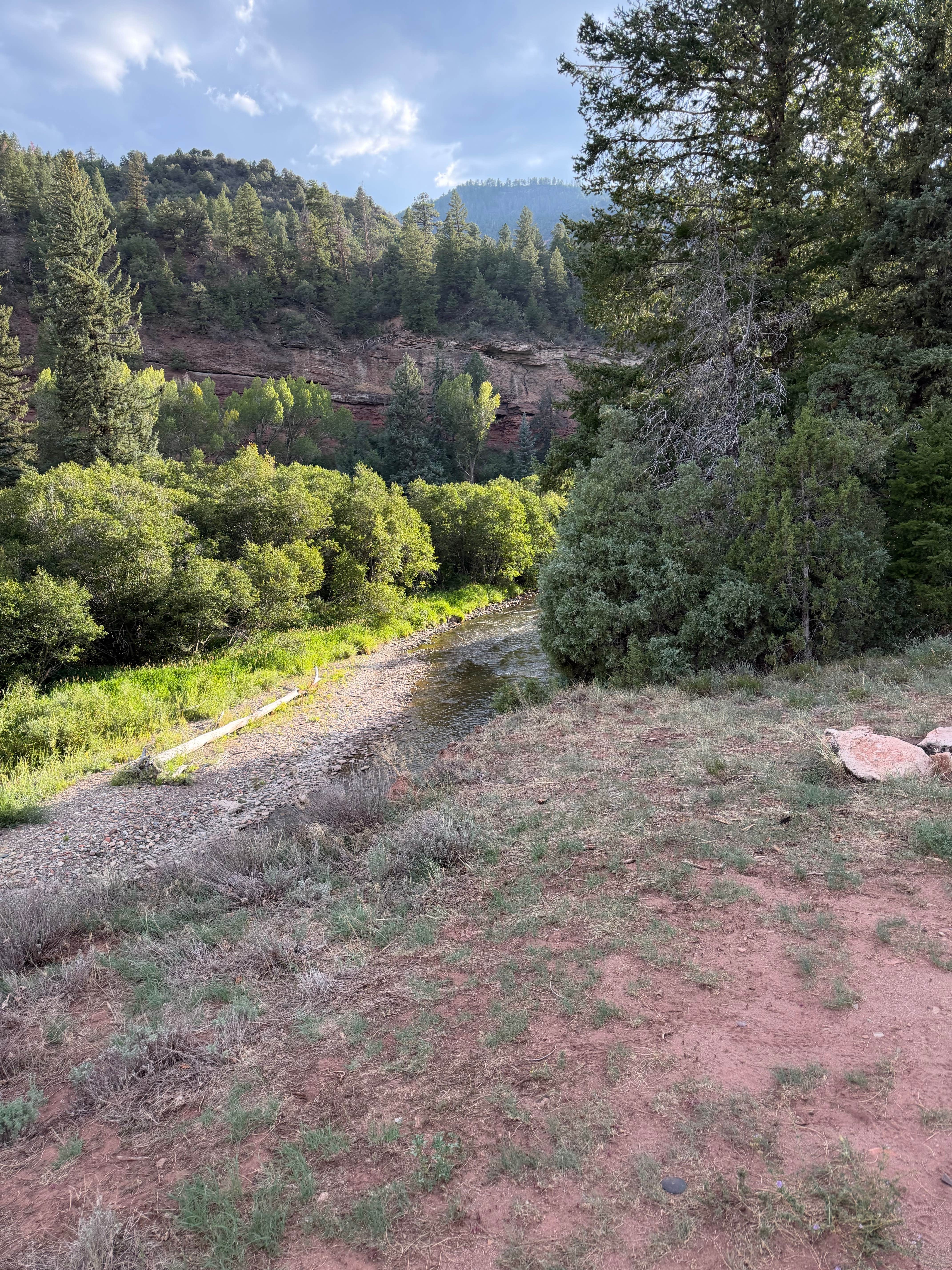 Camper-submitted photo at Up the road from Caddis Flats campground near Placerville, CO