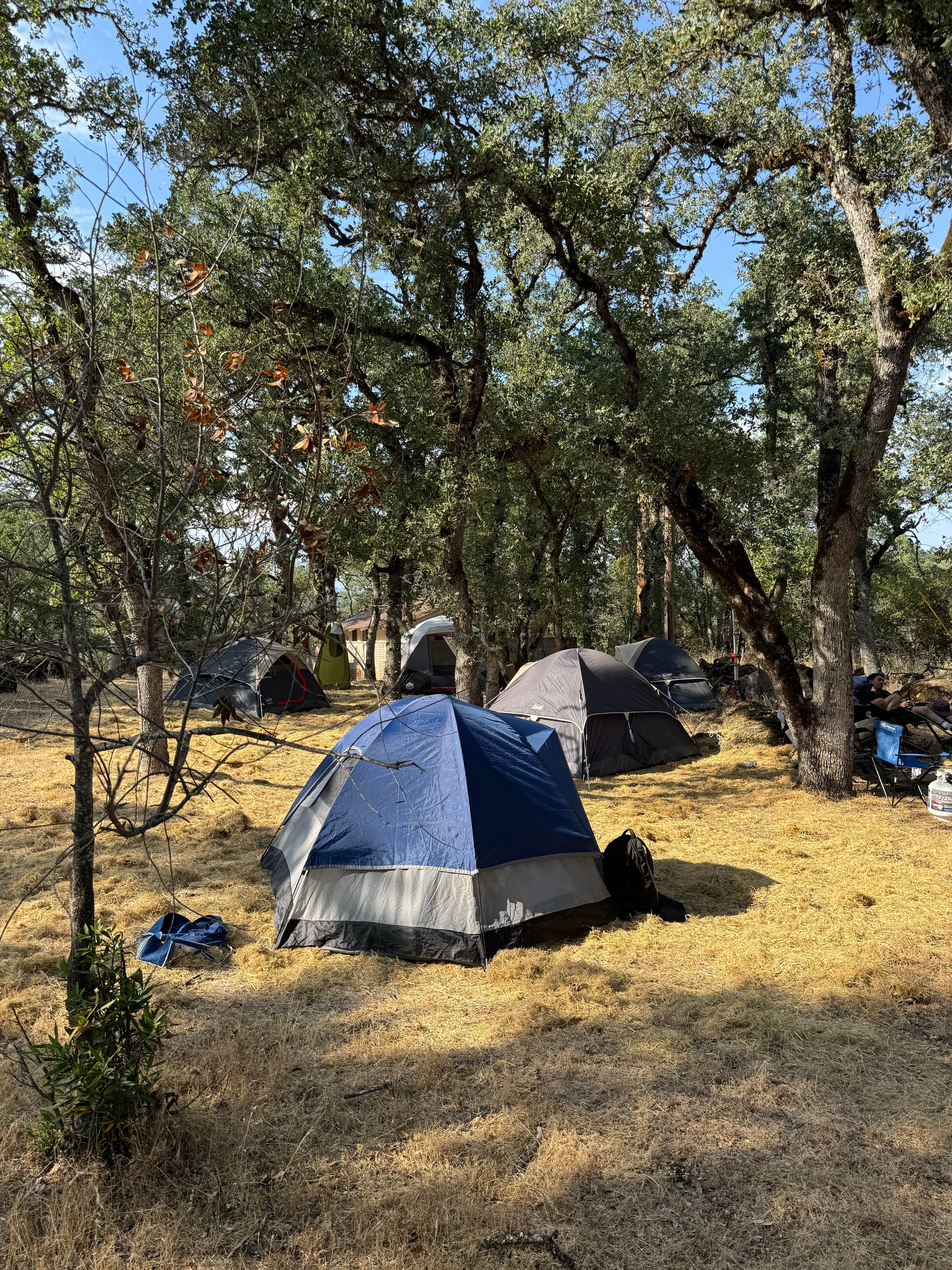 Camper-submitted photo at Upper Bayview Campground — Clear Lake State Park near Clearlake Oaks, CA