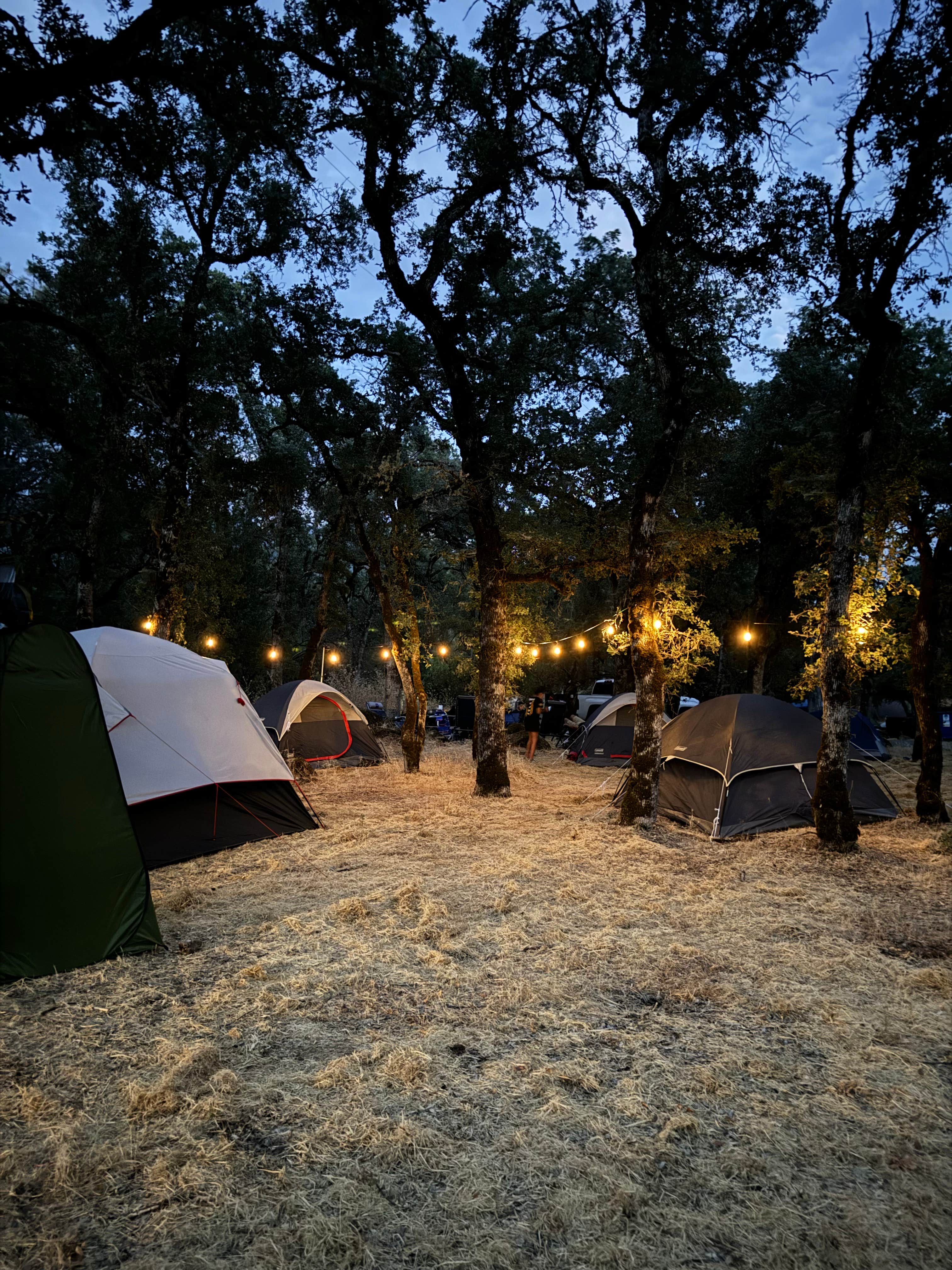 Camper-submitted photo at Upper Bayview Campground — Clear Lake State Park near Clearlake Oaks, CA