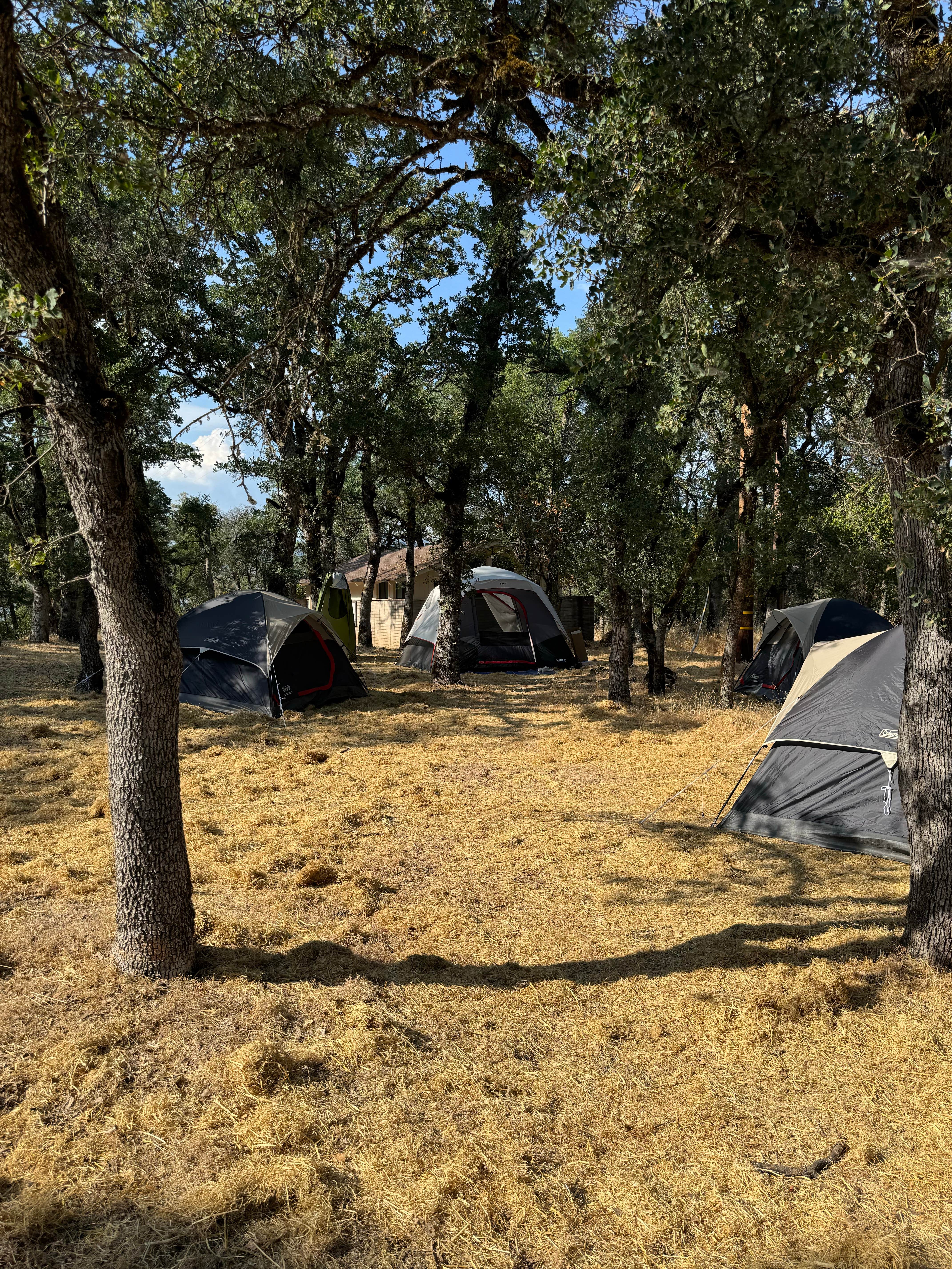 Camper-submitted photo at Upper Bayview Campground — Clear Lake State Park near Clearlake Oaks, CA