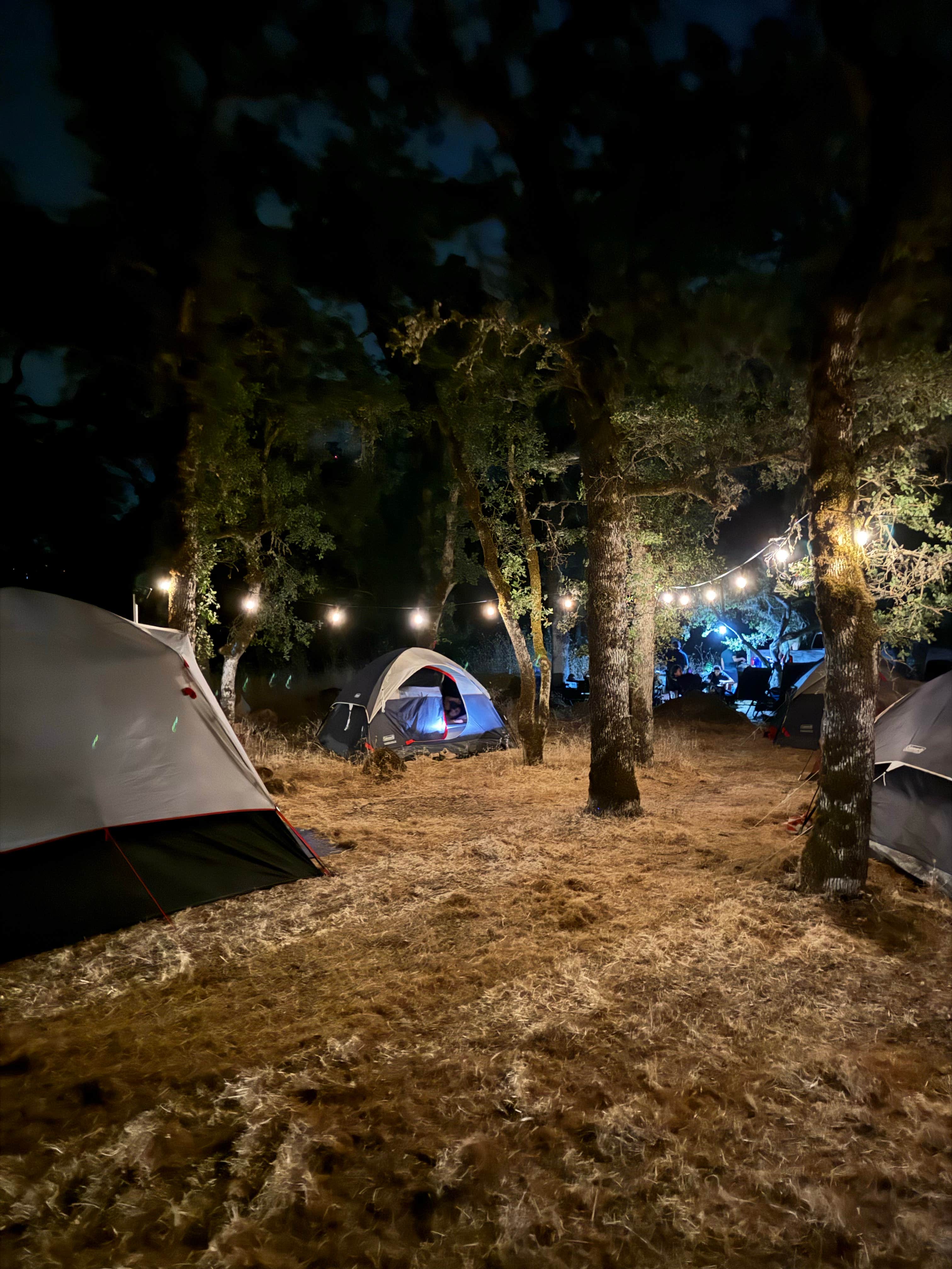 Camper-submitted photo at Upper Bayview Campground — Clear Lake State Park near Clearlake Oaks, CA