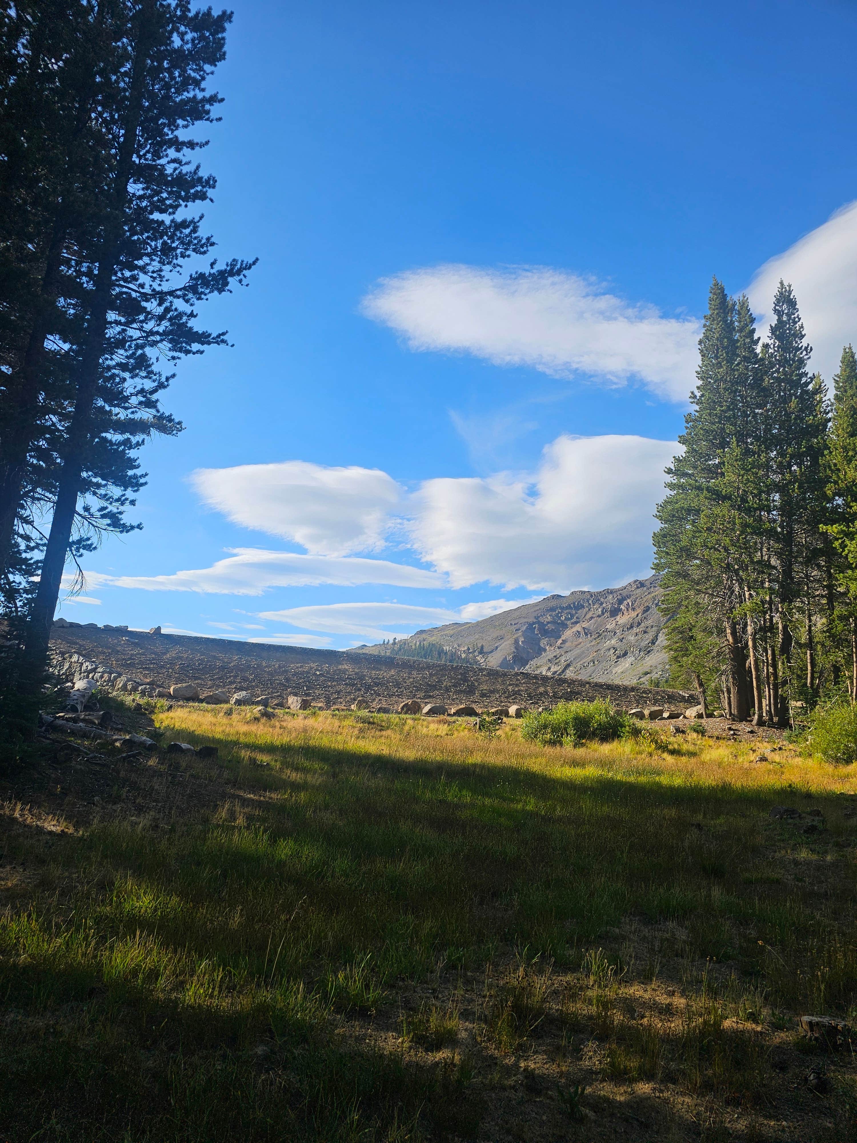 Camping near Upper Blue Lake Damsite Campground: Upper Blue Lakes Middle Creek Expansion Campground, Markleeville, California