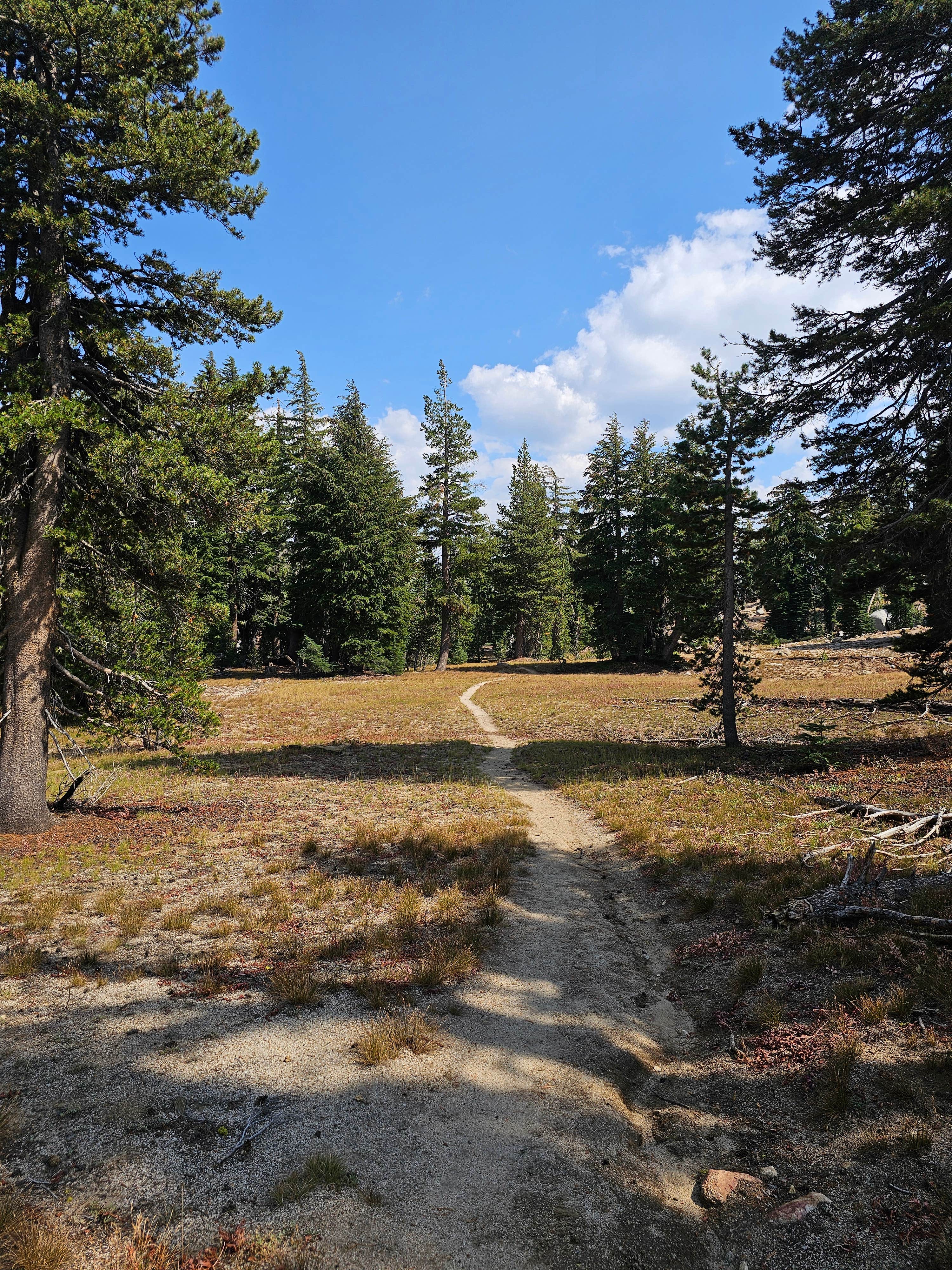 Camper submitted image from Upper Blue Lakes Middle Creek Expansion Campground - 4