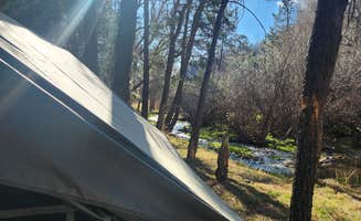 Junilee C.'s photo at Upper Bonito Dispersed Recreation Area near Luna, NM