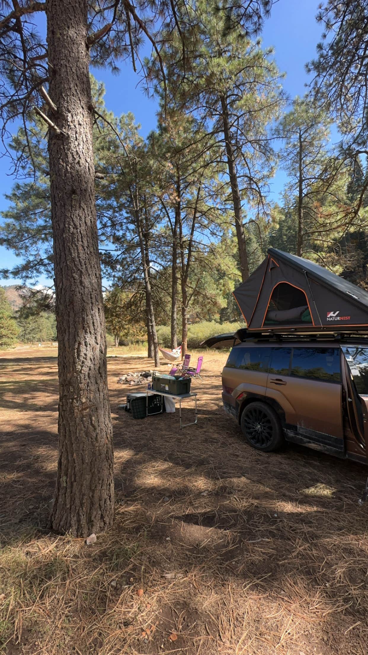K&S Adventures !.'s photo of tent camping at Upper Bonito Dispersed Recreation Area near Alamogordo, NM