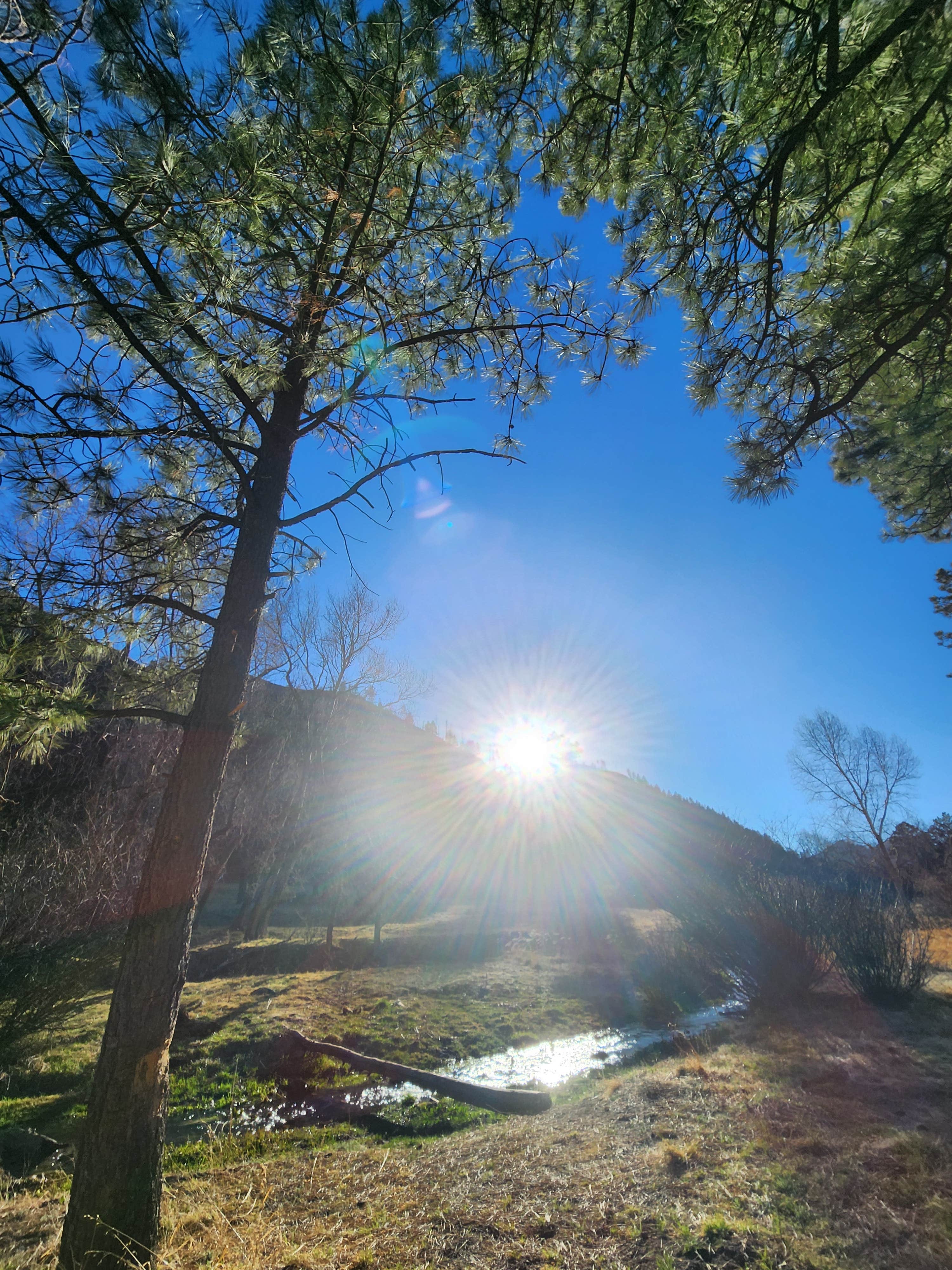 Camper-submitted photo at Upper Bonito Dispersed Recreation Area near Alamogordo, NM