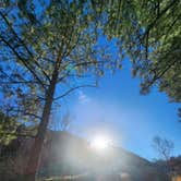 Review photo of Upper Bonito Dispersed Recreation Area by Junilee C., March 13, 2026