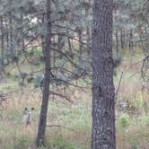 Review photo of Upper Bonito Dispersed Recreation Area by Haley S., October 19, 2025