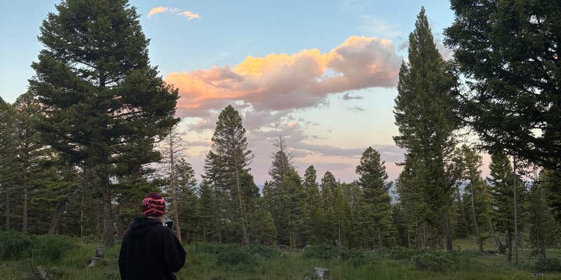 Camper submitted image from Upper Cherry Creek