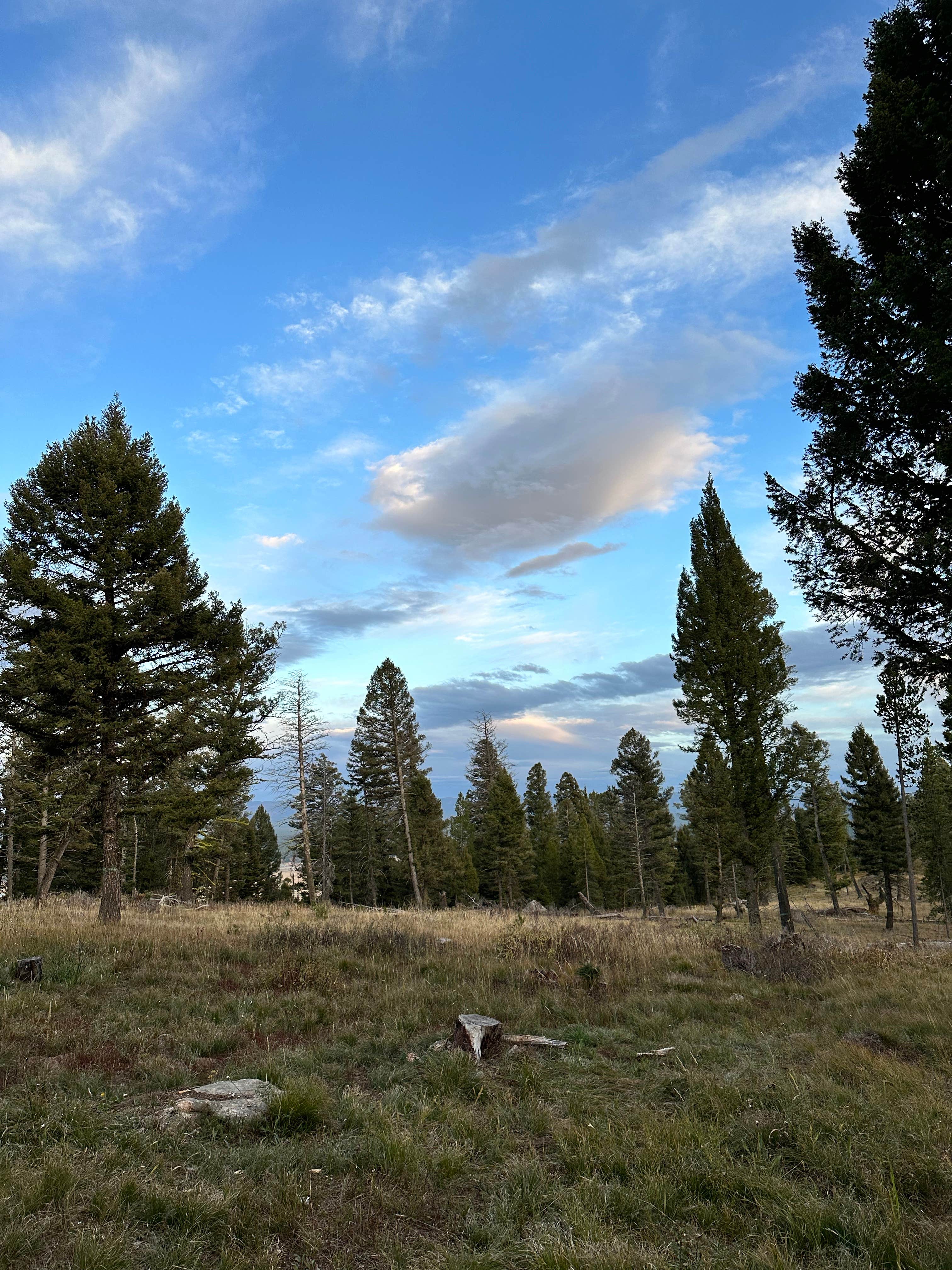 Camping near Targhee Creek: Upper Cherry Creek, West Yellowstone, Montana