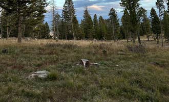 Camping near Basin Station Cabin: Upper Cherry Creek, West Yellowstone, Montana