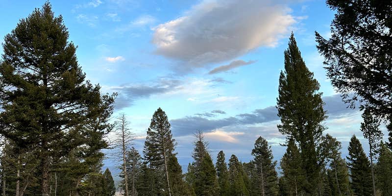 Camper submitted image from Upper Cherry Creek