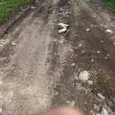 Review photo of Upper Cherry Creek by Gil W., June 5, 2026