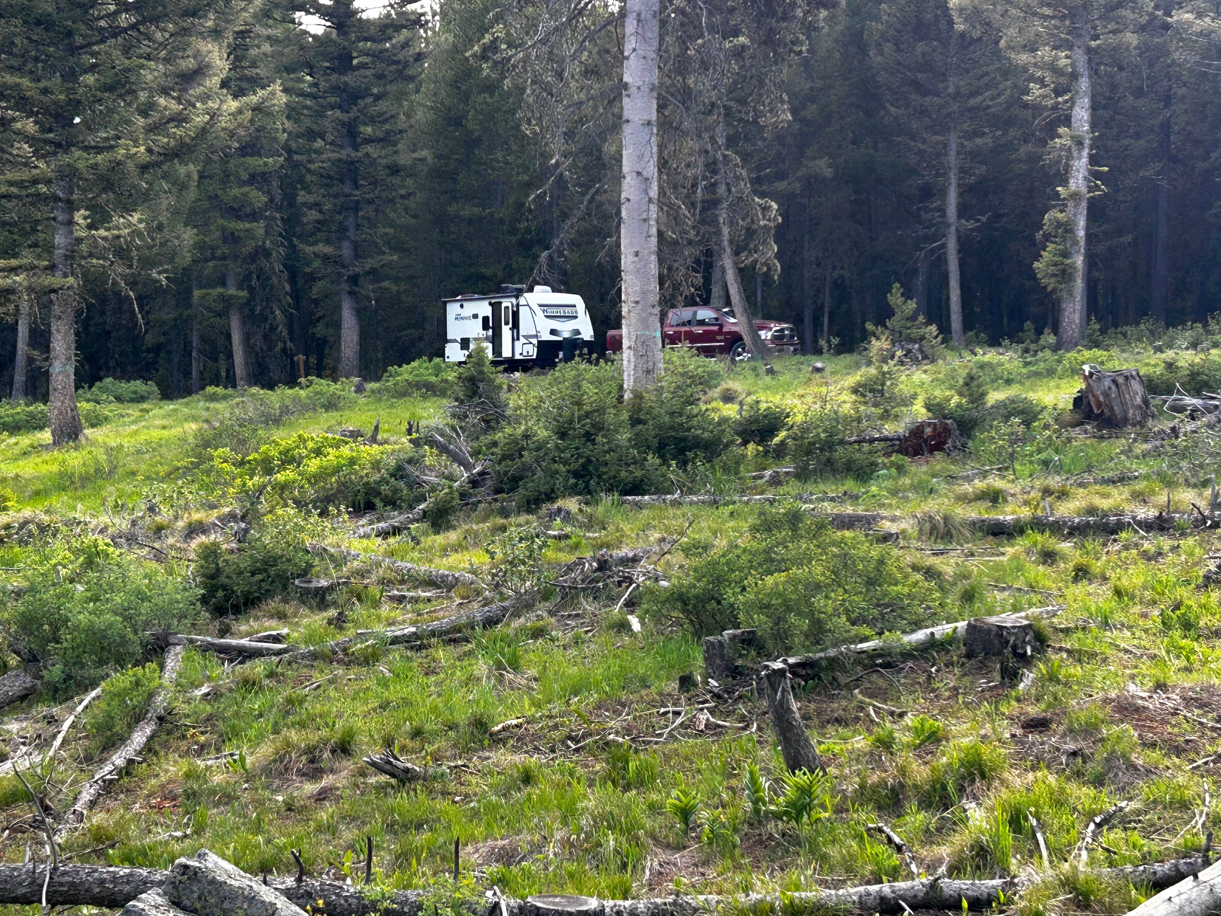 Camping near West Yellowstone Dispersed: Upper Cherry Creek, West Yellowstone, Montana