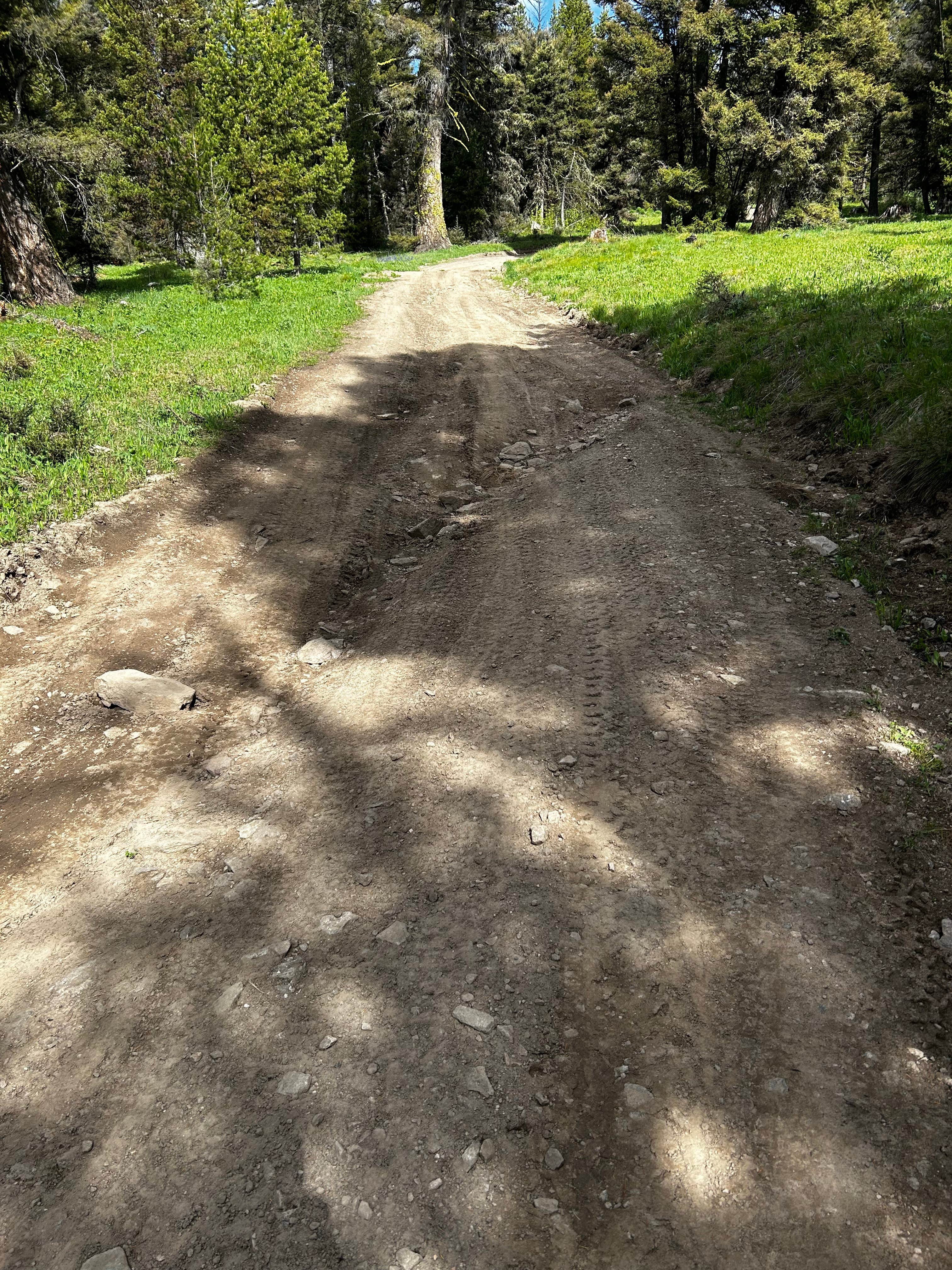 Camper-submitted photo at Upper Cherry Creek near West Yellowstone, MT